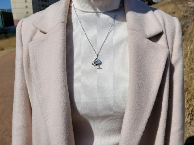 product-detail-image