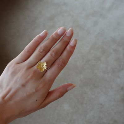 product-detail-image