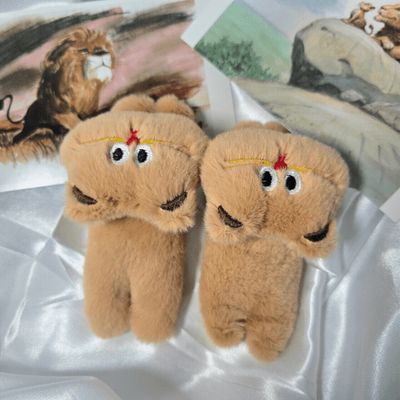 product-detail-image