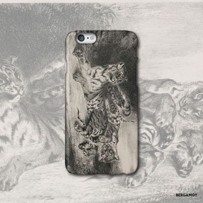product-detail-image