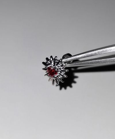 product-detail-image