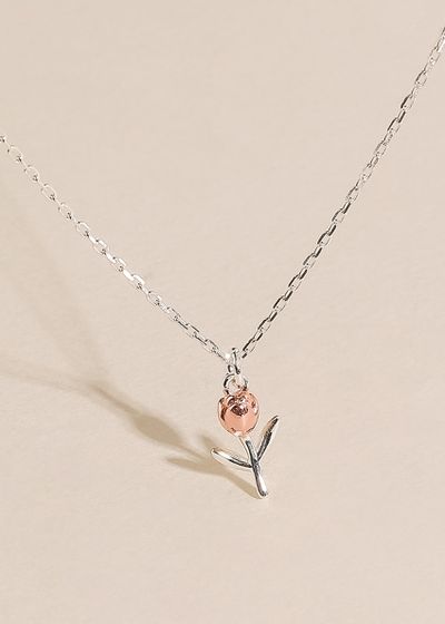 product-detail-image