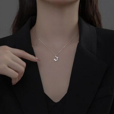 product-detail-image