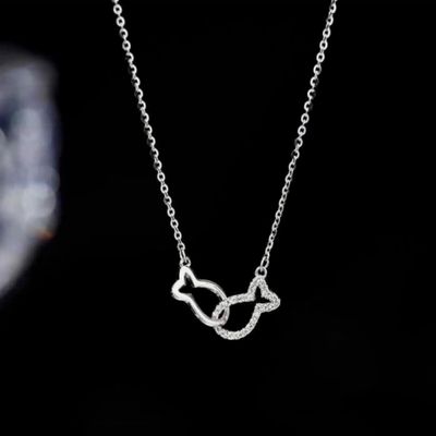 product-detail-image