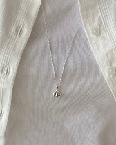 product-detail-image
