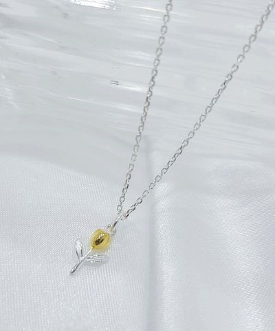product-detail-image